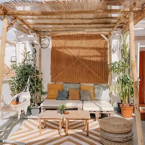 Hostel The Urban Jungle Malaga
